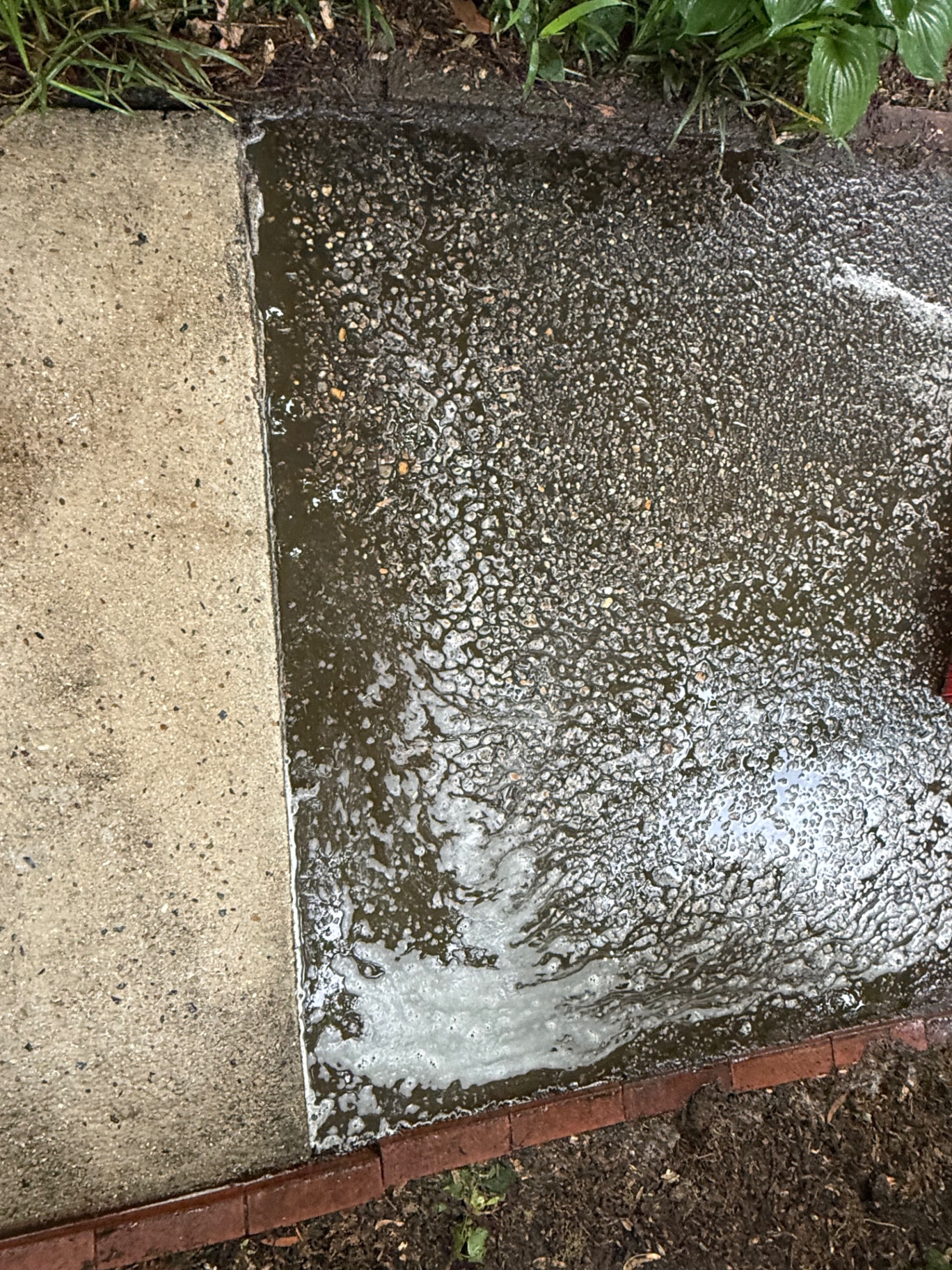 Clean Curb pressure washing work
